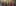 Preload CSR Banner