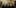 Main Banner